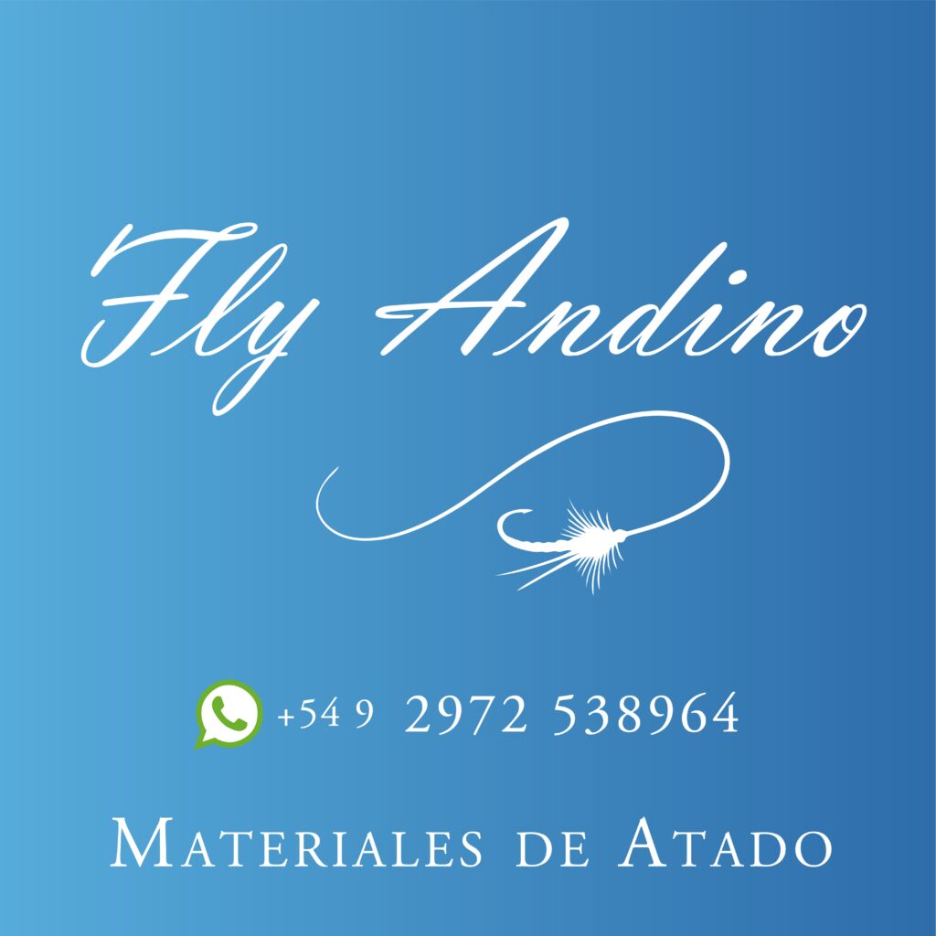FlyAndinolona